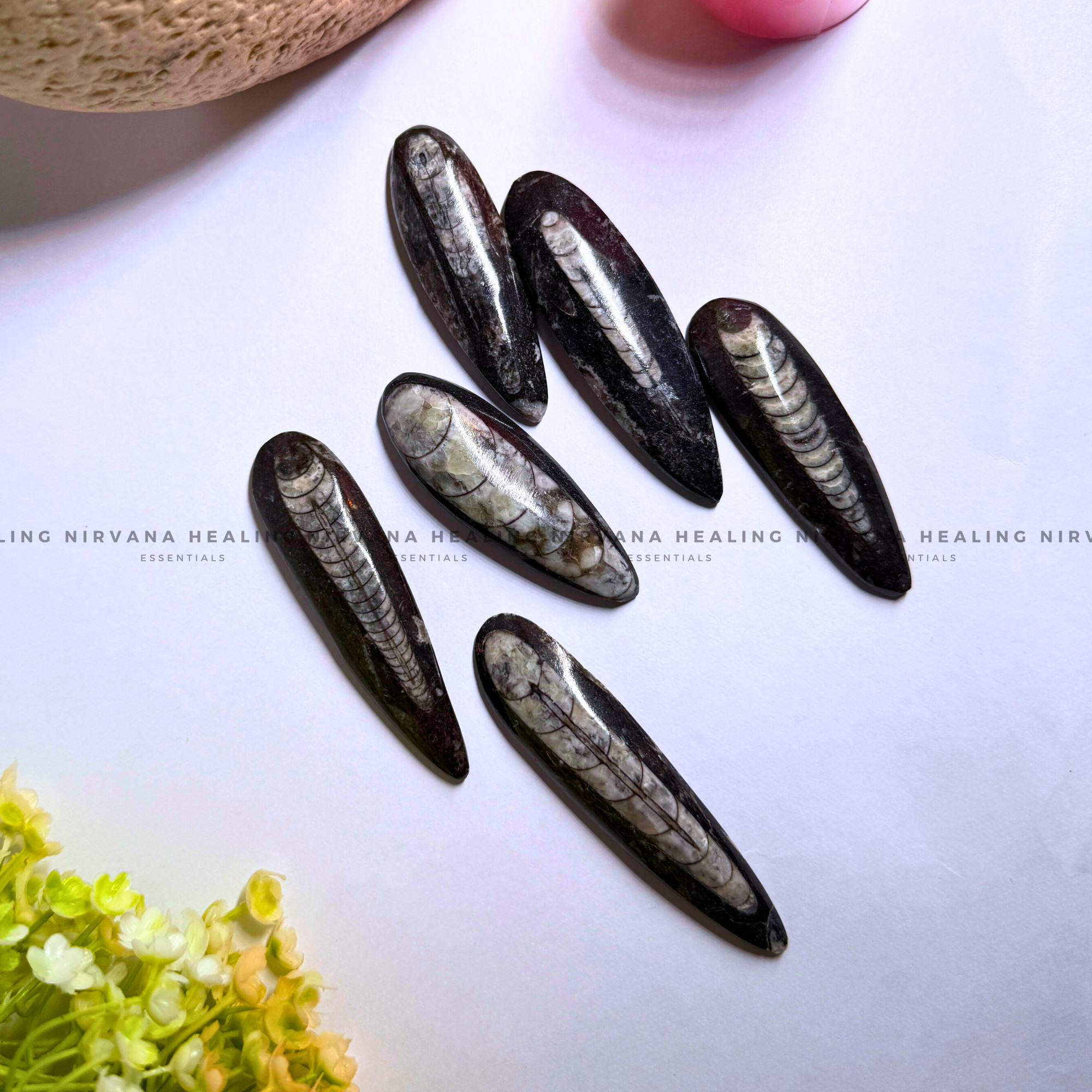 ORTHOCERAS KUBER STONE FOR FINANCIAL PROSPERITY (Wealth, Wisdom And Ancient Energy) - Image 2