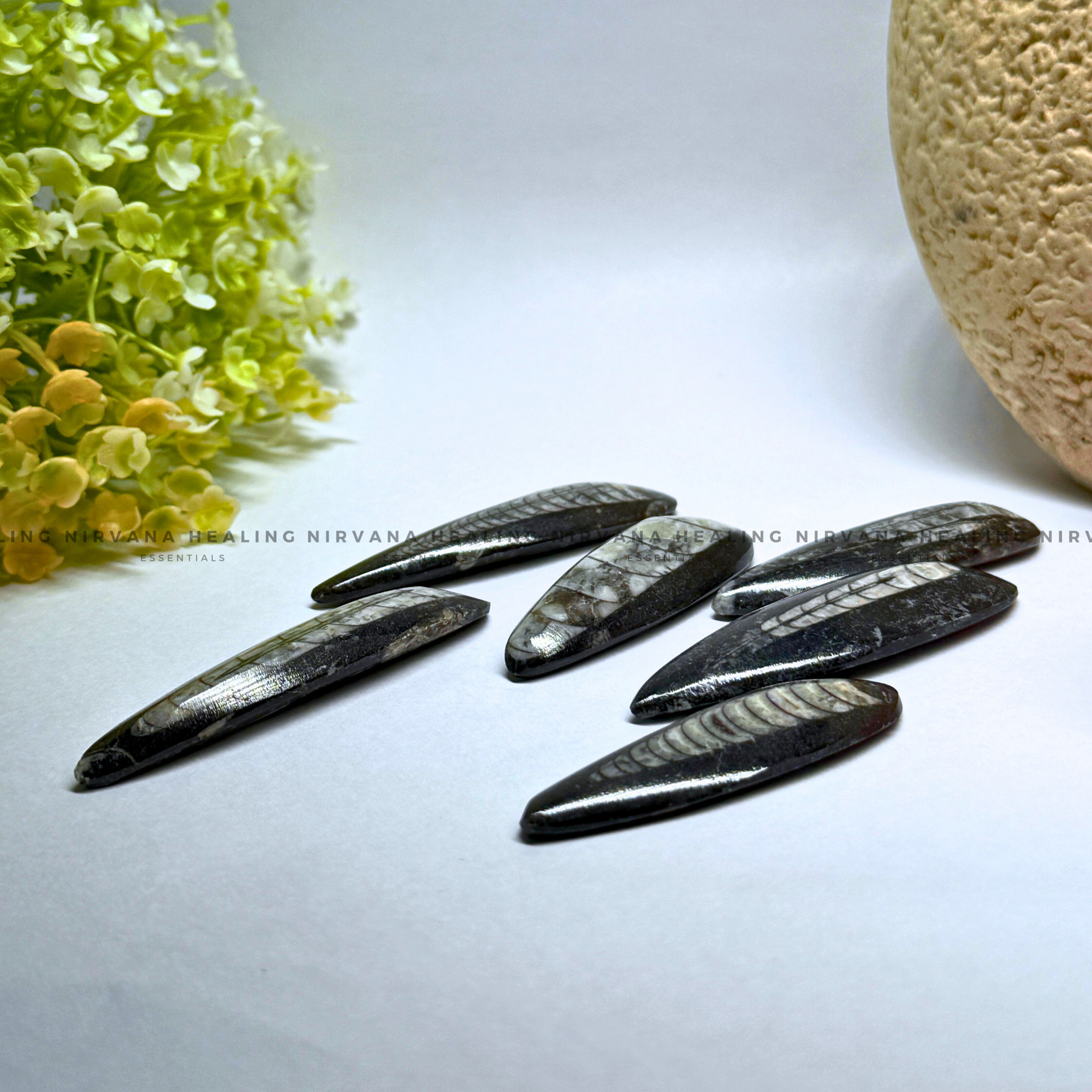 ORTHOCERAS KUBER STONE FOR FINANCIAL PROSPERITY (Wealth, Wisdom And Ancient Energy) - Image 6
