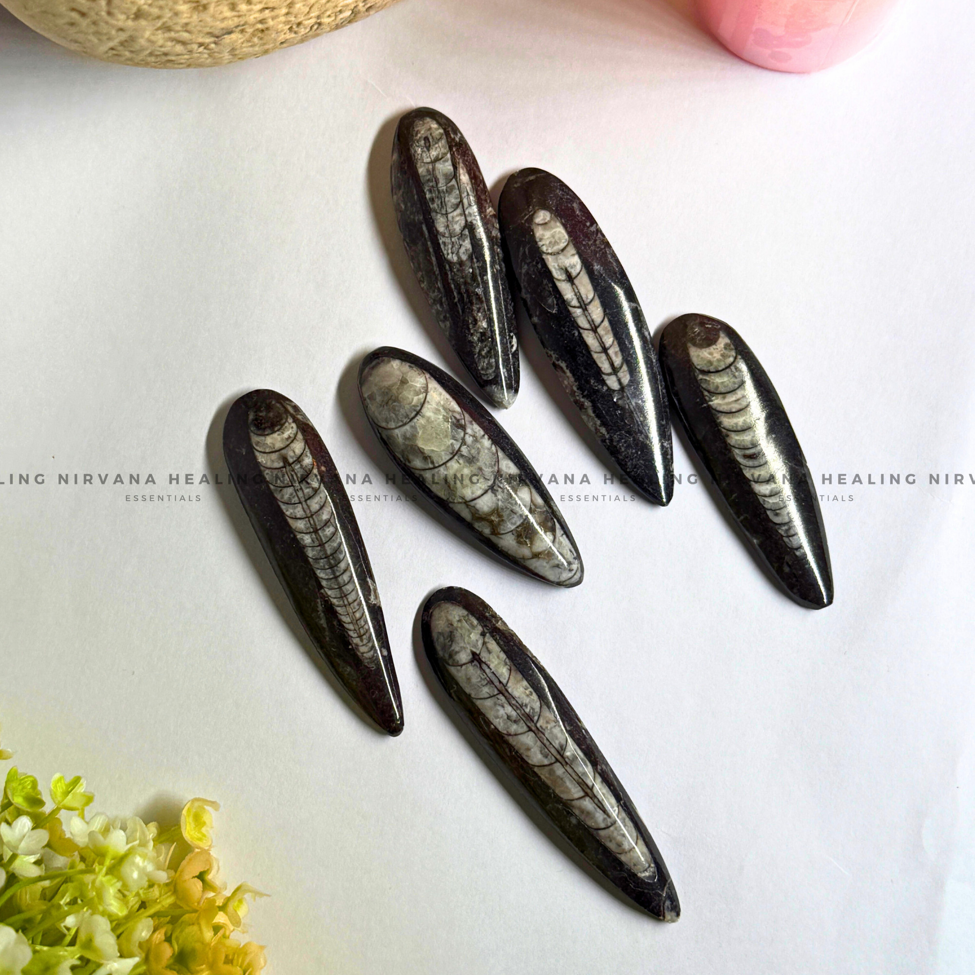 ORTHOCERAS KUBER STONE FOR FINANCIAL PROSPERITY (Wealth, Wisdom And Ancient Energy) - Image 3