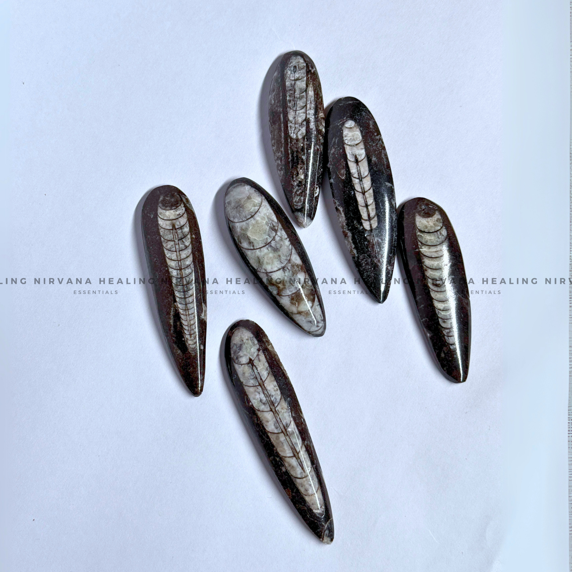 ORTHOCERAS KUBER STONE FOR FINANCIAL PROSPERITY (Wealth, Wisdom And Ancient Energy) - Image 5