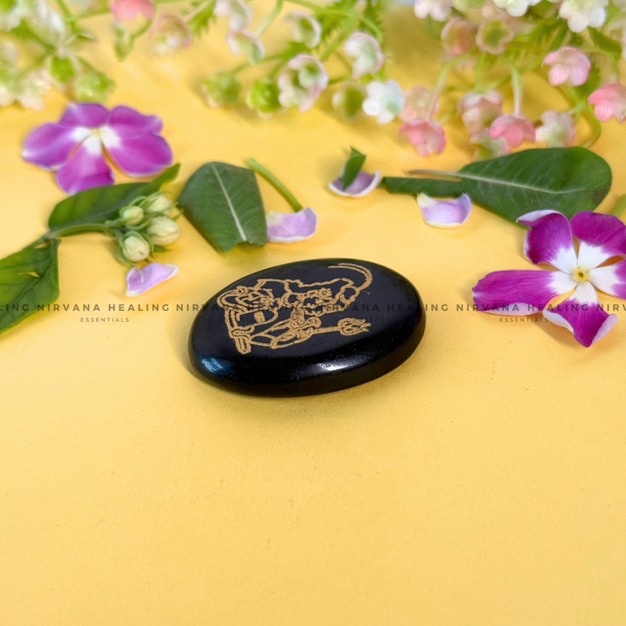 BLACK TOURMALINE MAHADEV ZIBU COIN (Protection, Grounding, Shielding And Growth) - Image 5