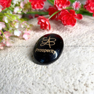 BLACK TOURMALINE PROSPERITY ZIBU COIN (Protection, Grounding, Shielding And Growth)