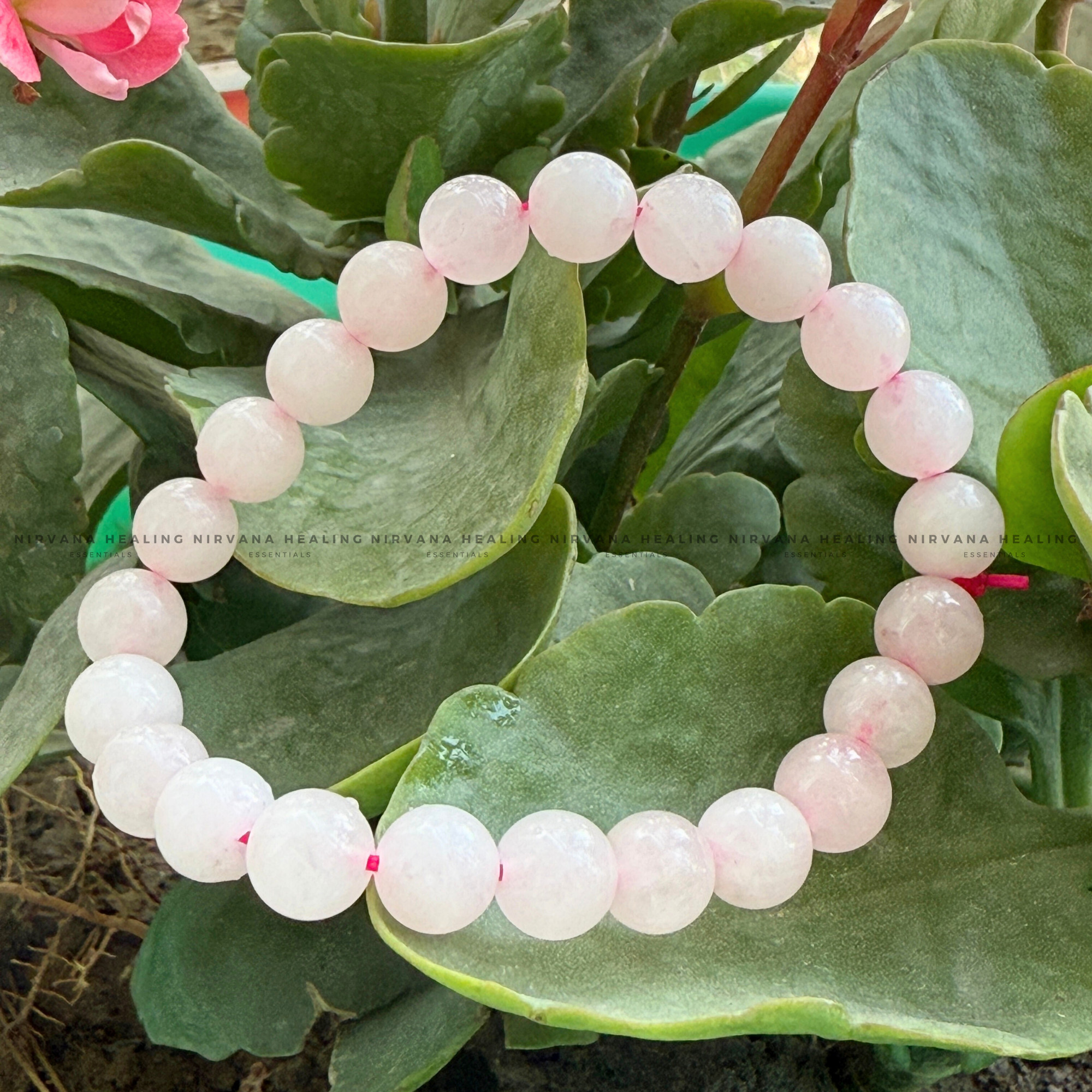 ROSE QUARTZ ROUND BEADED BRACELET (Love, Romance, Relationship, Emotion And Balance) - Image 5