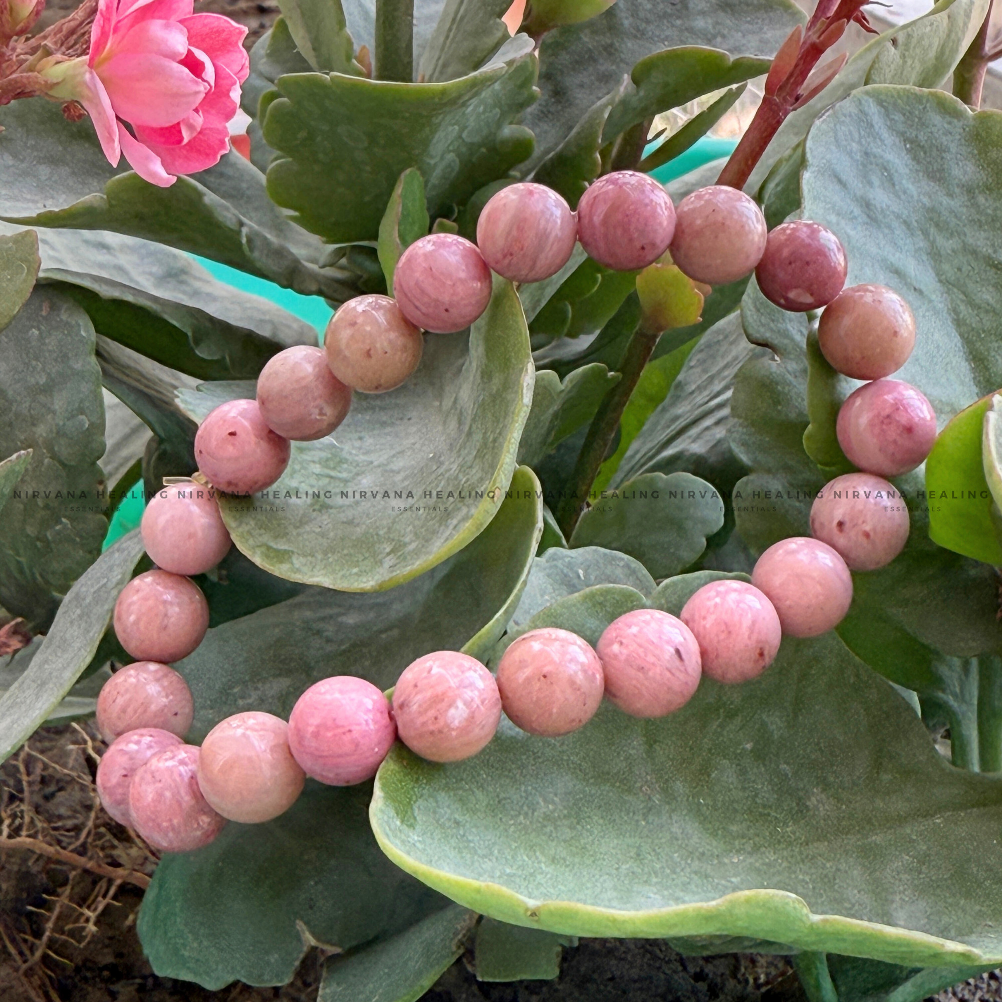 RHODONITE ROUND BEADED BRACELET (Compassion, Emotional Healing, Loving Vibration And Self Love) - Image 5