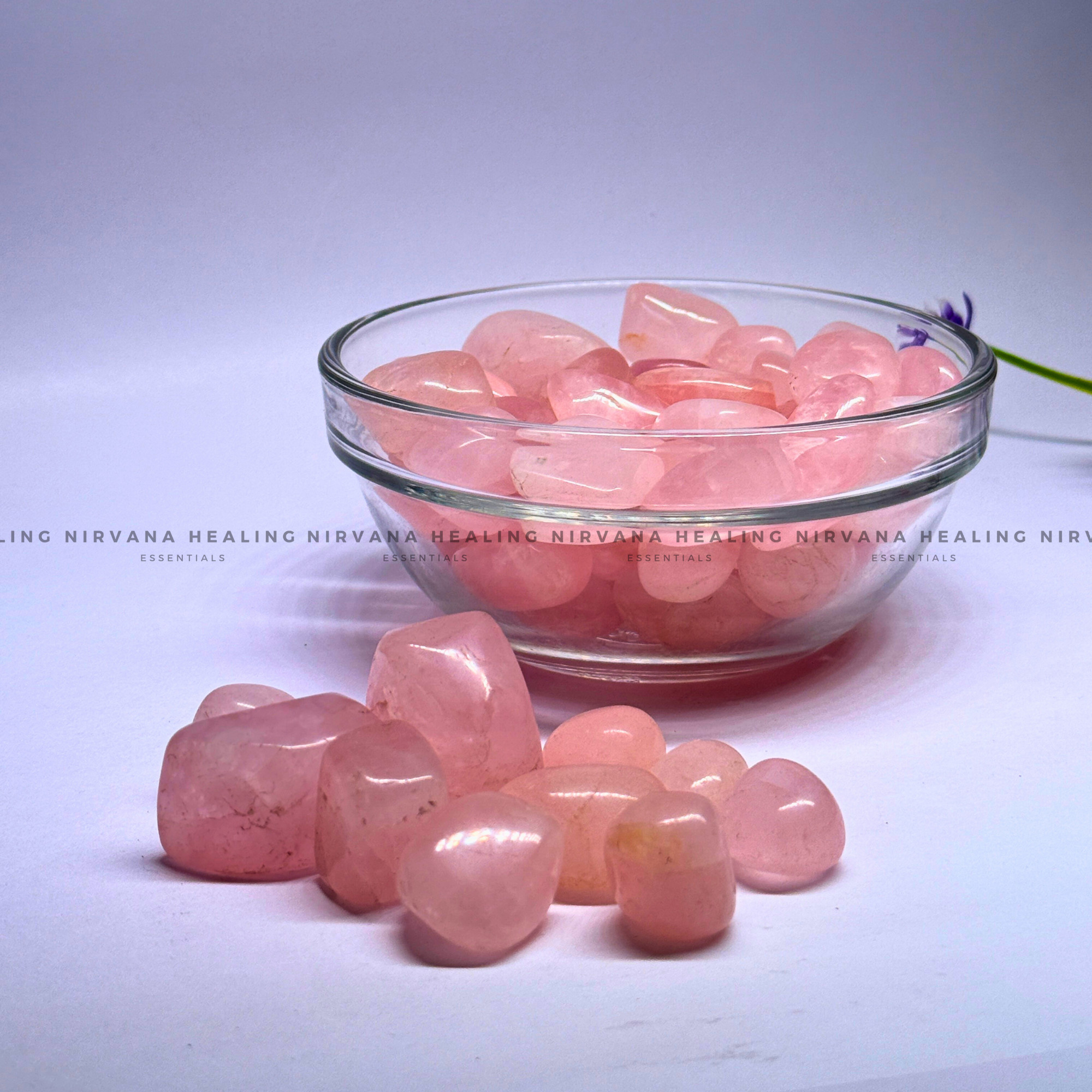 ROSE QUARTZ TUMBLE HEALING STONE (Love, Romance, Relationship, Emotion And Balance) - Image 5