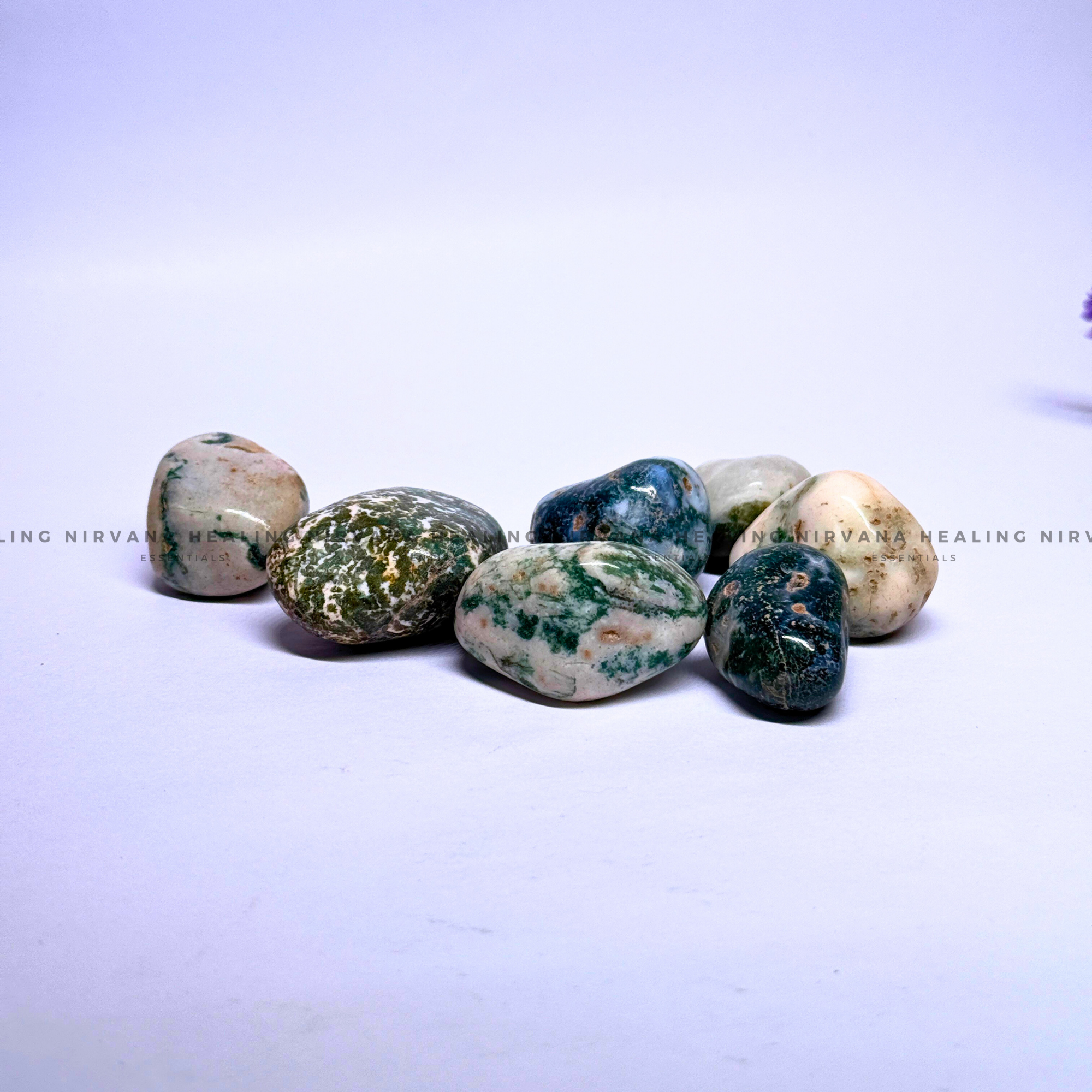 TREE AGATE TUMBLE STONES (Abundance, Nature Connection And Inner Peace) - Image 2