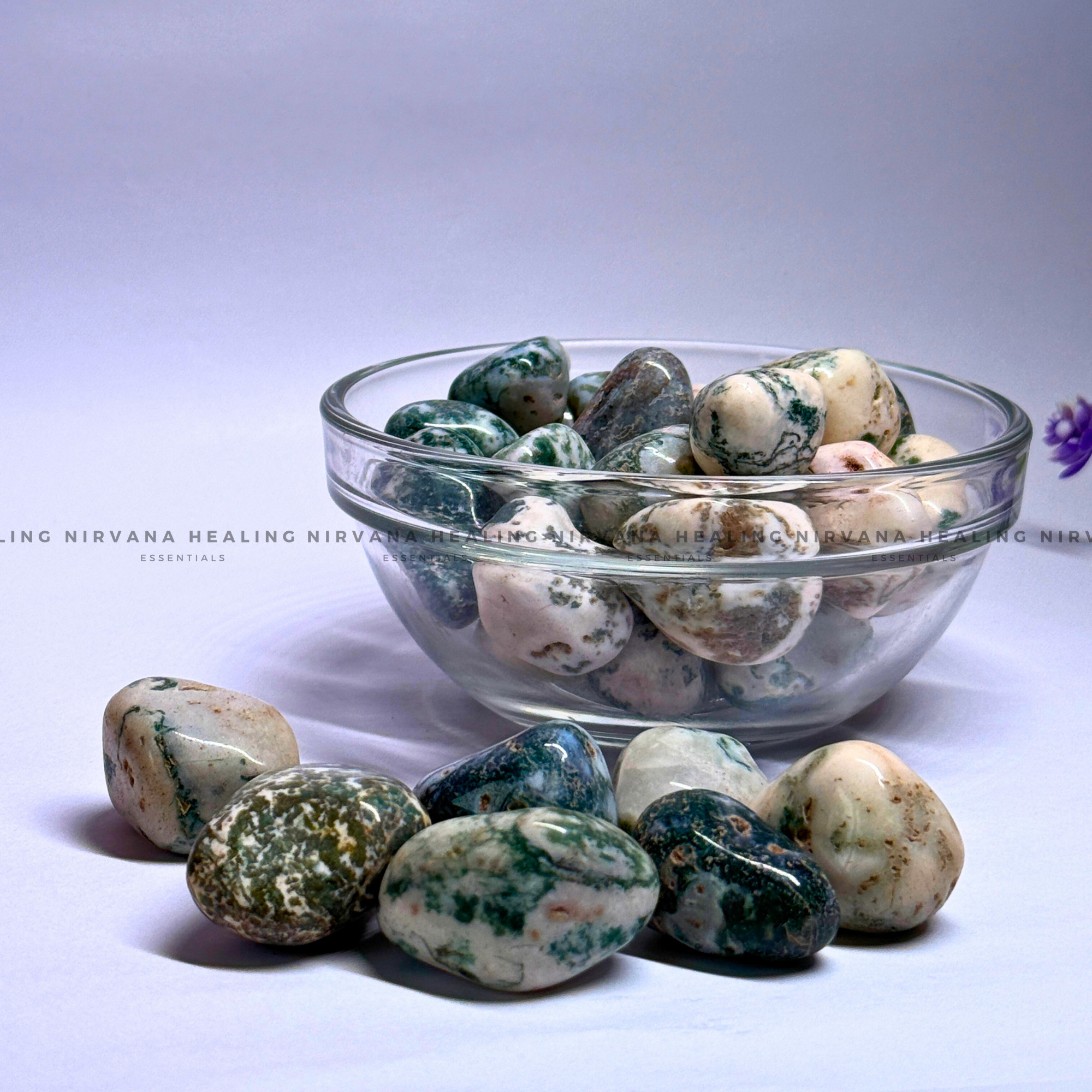 TREE AGATE TUMBLE STONES (Abundance, Nature Connection And Inner Peace) - Image 3