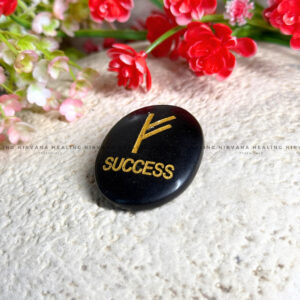 BLACK TOURMALINE SUCCESS ZIBU COIN (Protection, Grounding, Shielding And Growth)