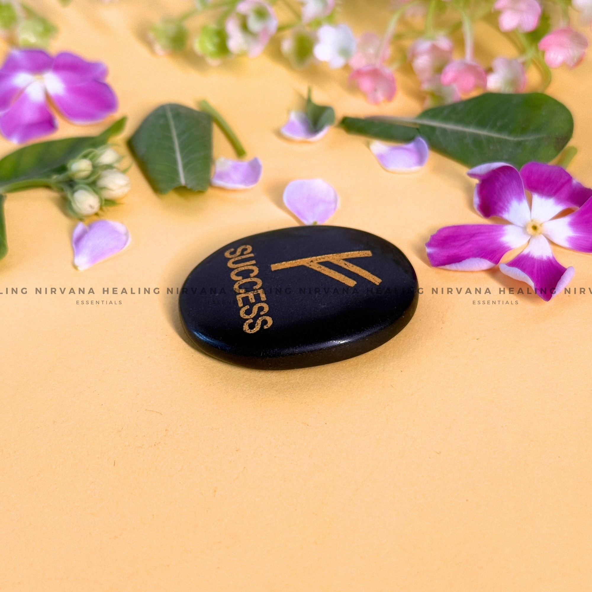 BLACK TOURMALINE SUCCESS ZIBU COIN (Protection, Grounding, Shielding And Growth) - Image 2