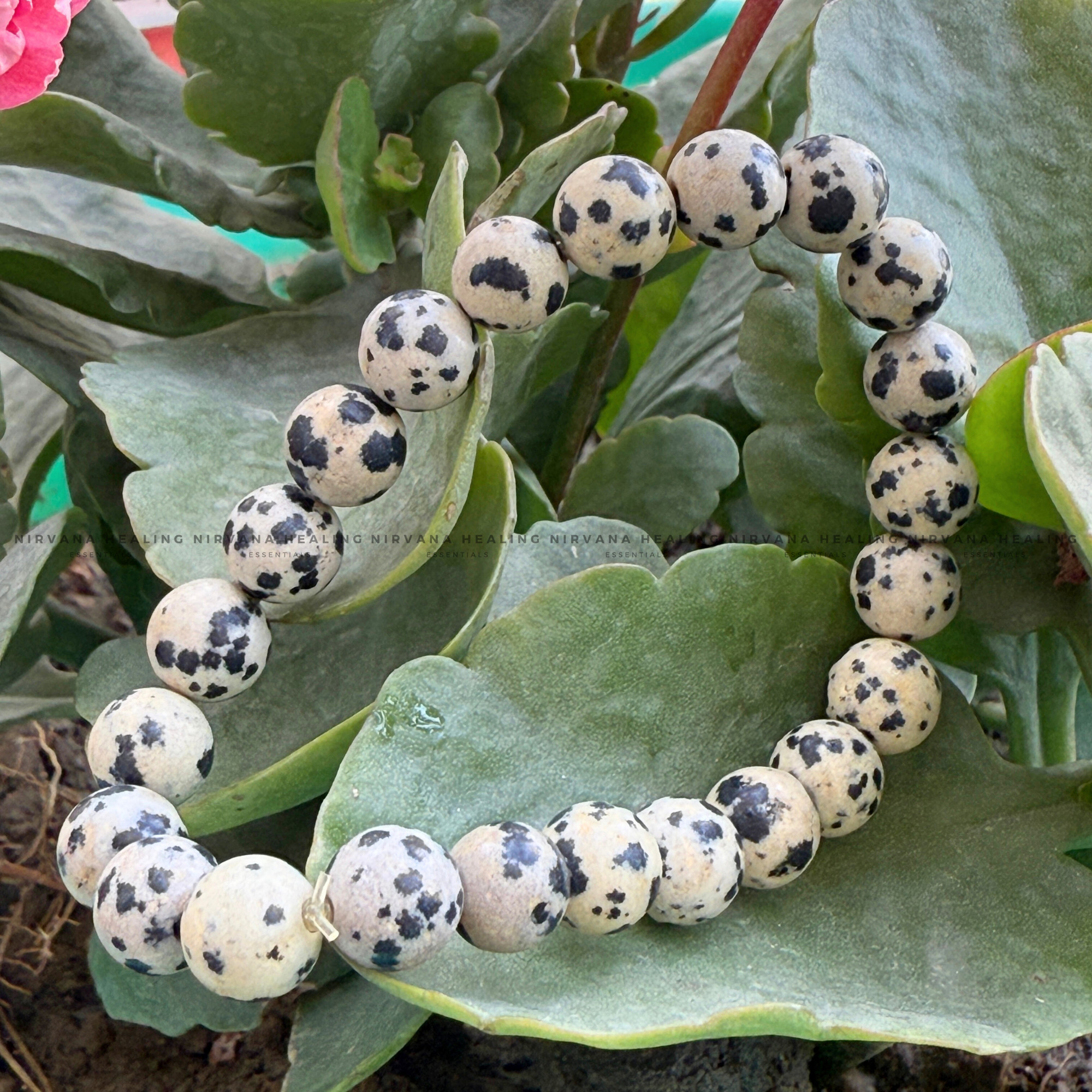 DALMATIAN ROUND BEADED BRACELET (Joy, Grounding And Loyalty) - Image 4
